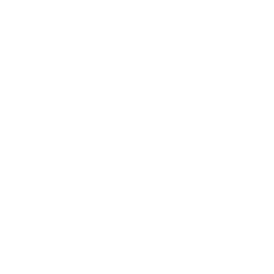 consultores-especializados